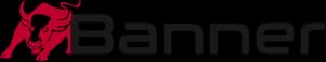 Banner Logo